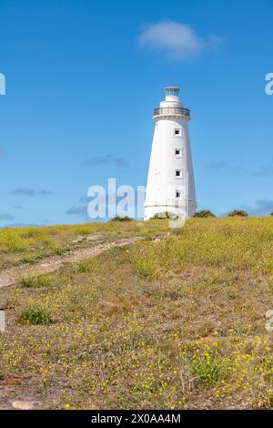 Paysage côtier du parc de conservation de Cape Willoughby, île Kangaroo Banque D'Images