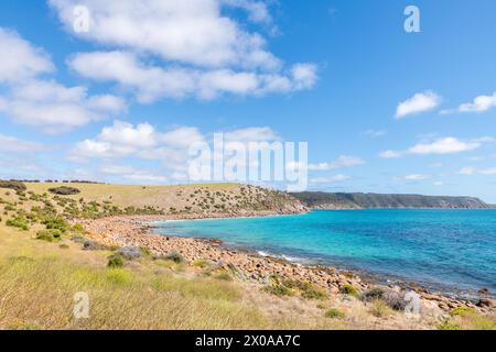 Paysage côtier du parc de conservation de Cape Willoughby, île Kangaroo Banque D'Images