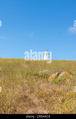 Paysage côtier du parc de conservation de Cape Willoughby, île Kangaroo Banque D'Images