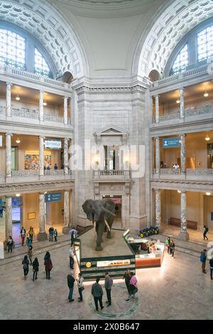 Smithsonian National Museum of Natural History, sur le National Mall à Washington, D.C. (États-Unis) Banque D'Images