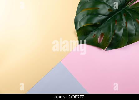 Vue de dessus de la feuille de monstera verte sur fond coloré. Fond bleu, rose et jaune. Papier peint coloré, pose à plat, espace de copie. Banque D'Images
