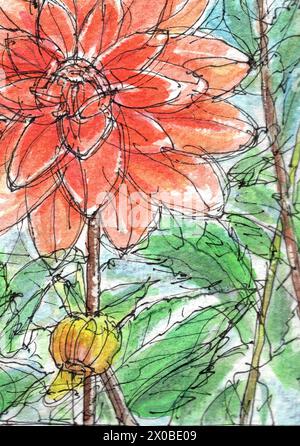 Détail d'un croquis à l'aquarelle et à l'encre de dahlias orange sur fond bleu pâle. Banque D'Images