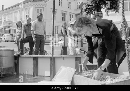 Aktuell 28-6-1973 : Trebarnsmamma på fabrikkgolvetKvinnenes kår i arbeidslivet Jofrid Jensen jobber på trikotasjefabrikken Harald Christensen A/S. I dag har fabrikken en arbeidsstokk på 70 personer, av dem 65 kvinner. Alle jobber akkord. Hun er fornøyd Med lønnen. Timelønnen til de ansatte kan på det mest ekstreme variere mellom 9 og 17 kroner timen, men det pleier ikke å ta lang tid før kvinnene arbeider i et raskt akkordtempo. Foto : ODD Ween / Aktuell / NTB ***FOTO IKKE BILDEBEHANDLET*** ce texte a été traduit automatiquement! Banque D'Images