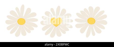 Set fleurs Marguerite décorations florales, autocollants mignons, collection de fleurs différentes, coeur. Joli imprimé simple. Illustration vectorielle Illustration de Vecteur