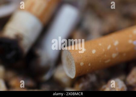 Berlin, Allemagne. 11 avril 2024. Les mégots de cigarettes sont couchés dans un cendrier. Crédit : Fernando Gutierrez-Juarez/dpa/Alamy Live News Banque D'Images