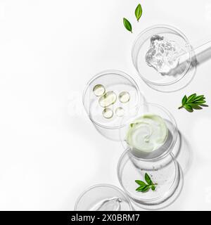 Produits naturels de soins de la peau tampons dans une boîte de Petri avec compte-gouttes et plantes vertes isolées sur fond blanc. Composition tendance de produit de beauté Wit Banque D'Images