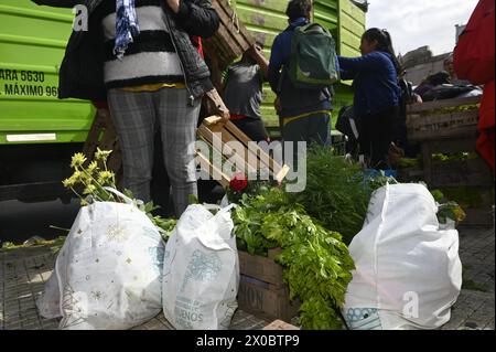 Buenos Aires, Argentine. 10 avril 2024. Une femme dépose des sacs de fruits et légumes sur le sol devant le Congrès argentin à Buenos Aires. Des centaines de personnes se rassemblent devant le Congrès national argentin pour recevoir gratuitement divers fruits, légumes et plantes directement des producteurs agricoles de l’UTT (Union des travailleurs du Land) en raison de la crise économique que traverse le pays en avril. Crédit : SOPA images Limited/Alamy Live News Banque D'Images