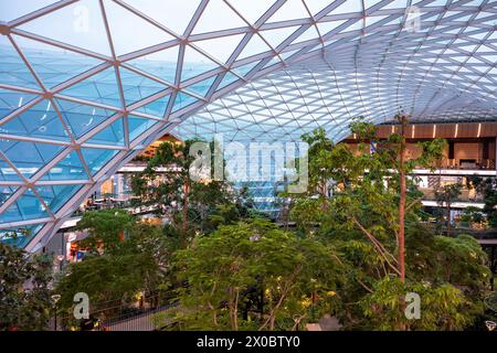 Dôme de verre massif et passerelle surélevée au-dessus du jardin intérieur au verger du Hamad International de Doha Banque D'Images