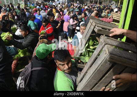 Buenos Aires, Argentine. 10 avril 2024. Un homme remet une boîte en bois de fruits et légumes à une foule devant le Congrès argentin. Des centaines de personnes se rassemblent devant le Congrès national argentin pour recevoir gratuitement divers fruits, légumes et plantes directement des producteurs agricoles de l’UTT (Union des travailleurs du Land) en raison de la crise économique que traverse le pays en avril. (Photo par Igor Wagner/SOPA images/SIPA USA) crédit : SIPA USA/Alamy Live News Banque D'Images