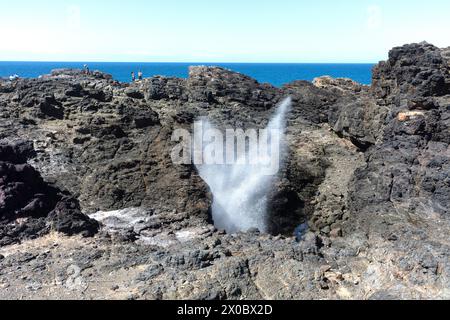 Kiama Blowhole, Blowhole point Road, Kiama Harbour, Kiama, Nouvelle-Galles du Sud, Australie Banque D'Images