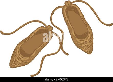 Chaussures préhistoriques en paille, vieilles chaussures Illustration de Vecteur