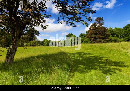 L'arche gothique rustique se moque de la folie d'entrée dans le belvédère demesne dans le comté de Westmeath, en Irlande Banque D'Images