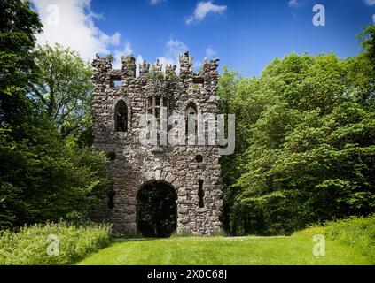 L'arche gothique rustique se moque de la folie d'entrée dans le belvédère demesne dans le comté de Westmeath, en Irlande Banque D'Images