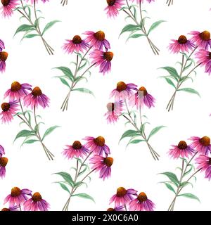 Motif aquarelle sans couture avec fleur d'herbe Coneflower, échinacée. Illustration dessinée à la main pour envelopper le textile en tissu Banque D'Images