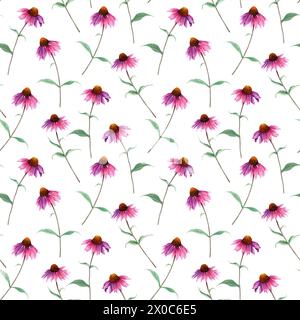 Motif aquarelle sans couture avec fleur d'herbe Coneflower, échinacée. Llustration dessinée à la main pour envelopper des textiles textiles Banque D'Images