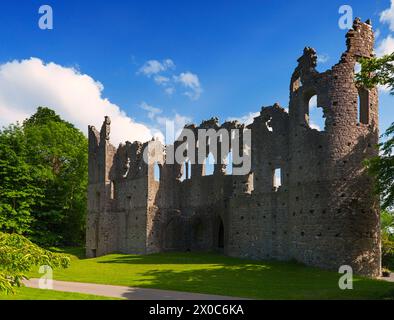 La fausse abbaye reste, connue sous le nom de « mur jaloux » dans le belvédère demesne dans le comté de Westmeath, en Irlande Banque D'Images