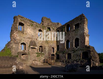 Château Ferns du XIIIe siècle dans le comté de Wexford, Irekland Banque D'Images