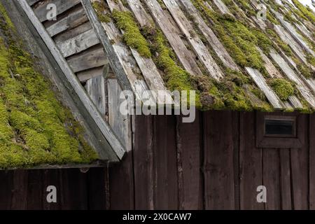 Détails extérieurs de la vieille maison en bois. Toit avec mousse verte et murs faits de planches grises rugueuses, texture de photo de fond Banque D'Images
