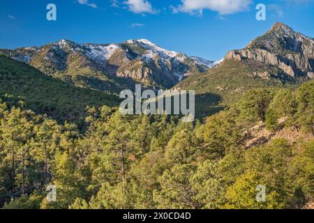 Massif du pic Chiricahua, vue depuis Herb Martyr Road, neige au début du printemps, montagnes Chiricahua, forêt nationale Coronado, près de Portal, Arizona, ÉTATS-UNIS Banque D'Images