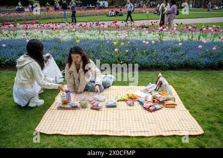 Londres, Royaume-Uni. 11 avril 2024. Météo britannique – les touristes préparent un pique-nique près des tulipes en fleurs dans les jardins Victoria Embankment Gardens pendant un déjeuner chaud. Les températures devraient atteindre 20 °C dans la capitale au cours des prochains jours. Credit : Stephen Chung / Alamy Live News Banque D'Images