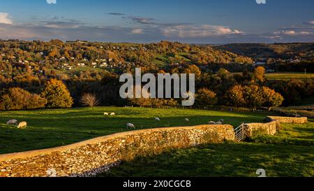 Le mur de pierre Cotswold mène à travers les champs au-dessus de Woodchester et la vue vers Amberley, Gloucestershire Banque D'Images