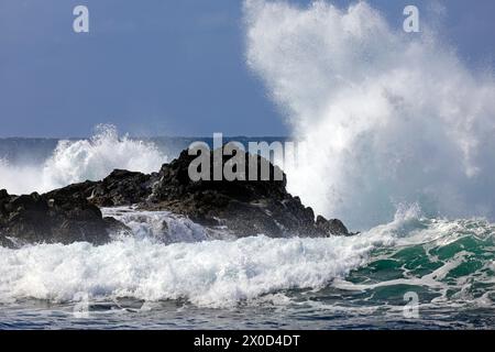 Roches volcaniques noires avec des vagues écrasantes, plage de surf Piedra Playa, El Cotillo, Fuerteventura. Prise en février 2024 Banque D'Images