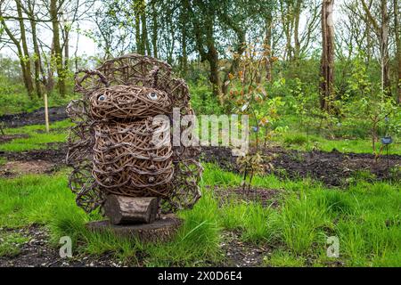 Jardin RHS Bridgewater à Worsly près de Manchester. Bu ou centipède en osier. Banque D'Images