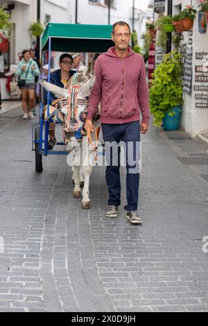 Mijas, Espagne - 22 octobre 2023 : taxis à âne utilisés par les touristes sur le village de Mijas, Espagne. Banque D'Images