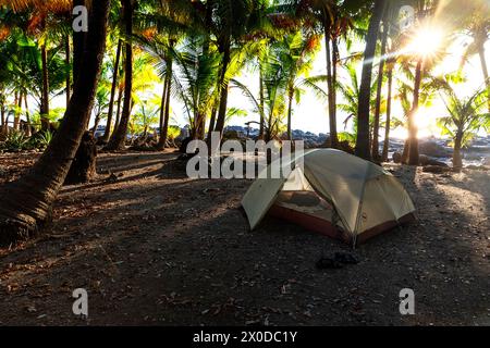 Tente sous les palmiers avec vue sur la mer sur camping idyllique près du petit village touristique Montezuma, péninsule de Nicoya, Costa rica Banque D'Images