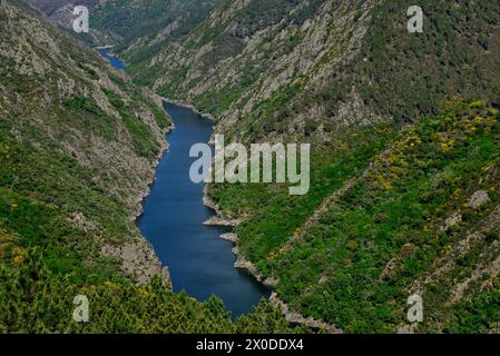 Ribeira Sacra de Aba Sacra, Sober, Lugo, Espagne Banque D'Images