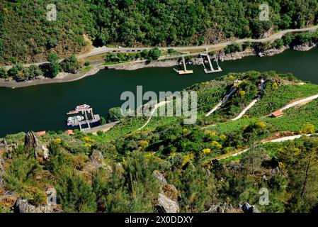 Ribeira Sacra de Aba Sacra, Sober, Lugo, Espagne Banque D'Images