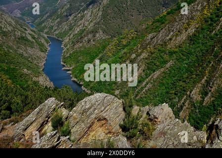 Ribeira Sacra de Aba Sacra, Sober, Lugo, Espagne Banque D'Images