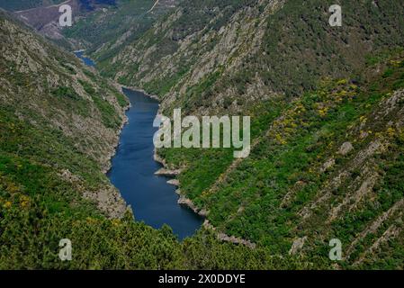 Ribeira Sacra de Aba Sacra, Sober, Lugo, Espagne Banque D'Images