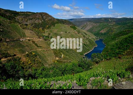 Rivière SIL d'Aba Sacra, sobre, Lugo, Espagne Banque D'Images