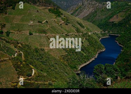 Rivière SIL d'Aba Sacra, sobre, Lugo, Espagne Banque D'Images