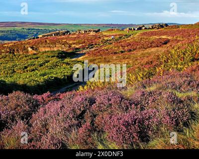 Royaume-Uni, West Yorkshire, Ilkley, Ilkley Moor près des Hanging Stones. Banque D'Images