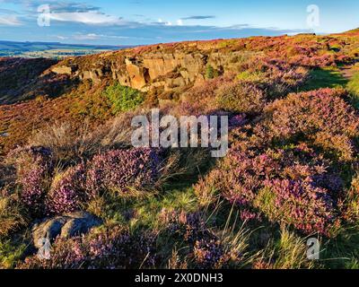 Royaume-Uni, West Yorkshire, Ilkley, Ilkley Moor près des Hanging Stones. Banque D'Images