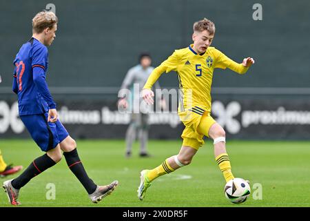 SIL Blokhuis (17 ans), des pays-Bas, a défendu contre Gabriel Granberg (5 ans), de Suède, lors d'un match amical entre les équipes nationales de Suède et des pays-Bas de moins de 16 ans futures, le jeudi 11 avril 2024 à Tubize , Belgique . PHOTO SPORTPIX | David Catry Banque D'Images