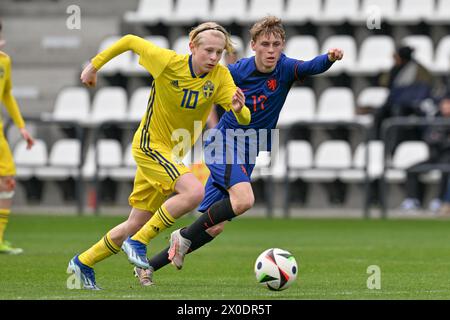 Svante Kallof (10 ans) de Suède et Sil Blokhuis (17 ans) des pays-Bas photographiés lors d'un match amical de football entre les équipes nationales de Suède et des pays-Bas de moins de 16 ans futures le jeudi 11 avril 2024 à Tubize , Belgique . PHOTO SPORTPIX | David Catry Banque D'Images
