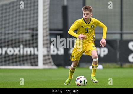 Gabriel Granberg (5) de Suède photographié lors d'un match amical de football entre les équipes nationales de Suède et des pays-Bas de moins de 16 ans futures le jeudi 11 avril 2024 à Tubize , Belgique . PHOTO SPORTPIX | David Catry Banque D'Images