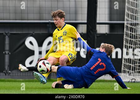 Hjalmar Skarander (15 ans), de Suède, et Sil Blokhuis (17 ans), des pays-Bas, photographiés lors d'un match amical de football entre les équipes nationales de Suède et des pays-Bas futures des moins de 16 ans, le jeudi 11 avril 2024 à Tubize , Belgique . PHOTO SPORTPIX | David Catry Banque D'Images