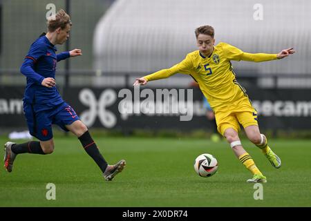 SIL Blokhuis (17 ans), des pays-Bas, a défendu contre Gabriel Granberg (5 ans), de Suède, lors d'un match amical entre les équipes nationales de Suède et des pays-Bas de moins de 16 ans futures, le jeudi 11 avril 2024 à Tubize , Belgique . PHOTO SPORTPIX | David Catry Banque D'Images