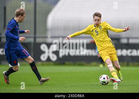 SIL Blokhuis (17 ans), des pays-Bas, a défendu contre Gabriel Granberg (5 ans), de Suède, lors d'un match amical entre les équipes nationales de Suède et des pays-Bas de moins de 16 ans futures, le jeudi 11 avril 2024 à Tubize , Belgique . PHOTO SPORTPIX | David Catry Banque D'Images