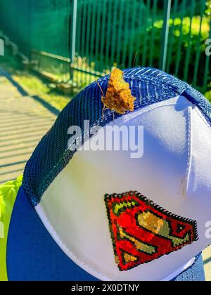 Un papillon brun a atterri sur une casquette avec l'emblème de Superman Banque D'Images