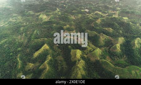 Vue aérienne de l'herbe brûlée de sommet de la montagne : palmiers tropicaux dans la jungle Quitinday collines de Mayon, Philippines. Paysage montagneux asiatique de nature sauvage. Feux de forêt, plan conceptuel d'automne Banque D'Images