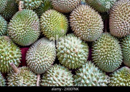 Fruit durian dans un marché Banque D'Images