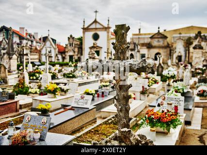 Cimetière à Aviero, Portugal, Europe Banque D'Images