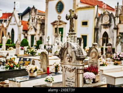 Cimetière à Aviero, Portugal, Europe Banque D'Images