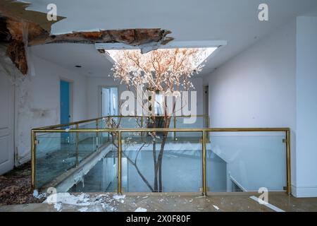 Un arbre mort qui grandit dans un manoir abandonné. Banque D'Images