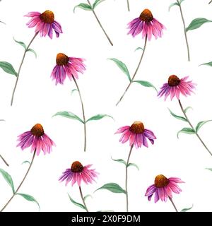 Motif aquarelle sans couture avec fleur d'herbe Coneflower, échinacée. Illustration botanique dessinée à la main pour tissu textile Banque D'Images